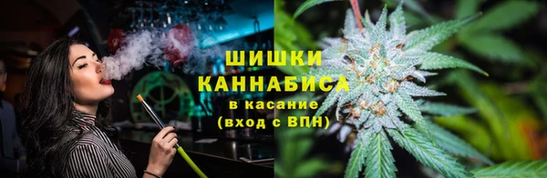 индика Бородино