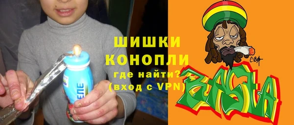 индика Бородино