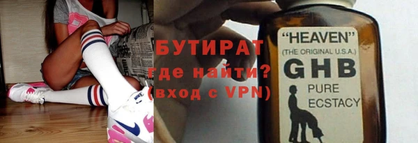 индика Бородино