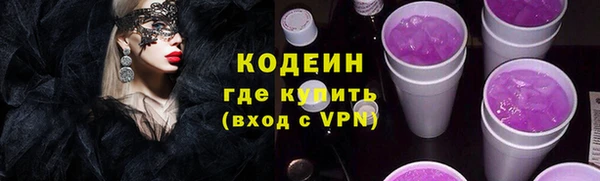 индика Бородино