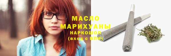 индика Бородино