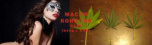 индика Бородино