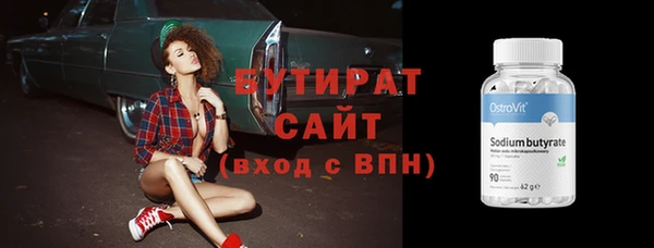 индика Бородино