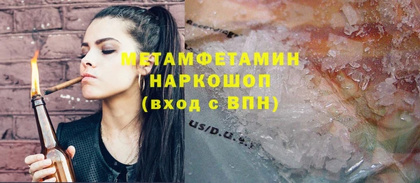 индика Бородино