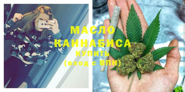 индика Бородино