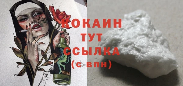 индика Бородино