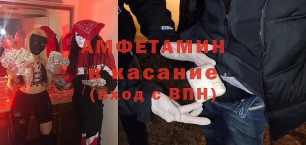 индика Бородино